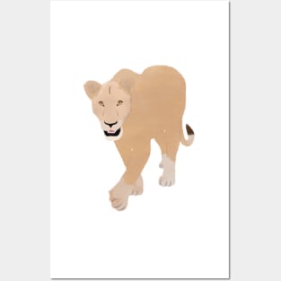 Watercolor Stalking Lioness with Mouth Open Posters and Art